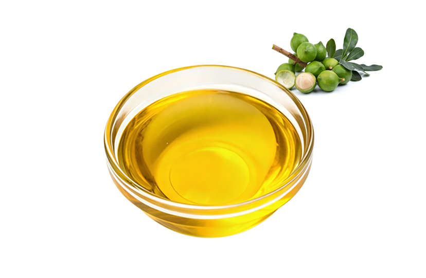 Xanthoceras Sorbifolia Oil